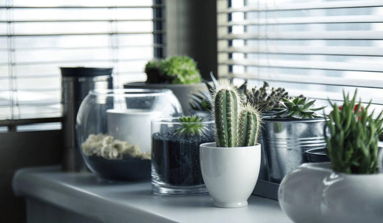 Add Beauty to Your Home With Garden Windows