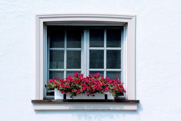 Window replacement denver