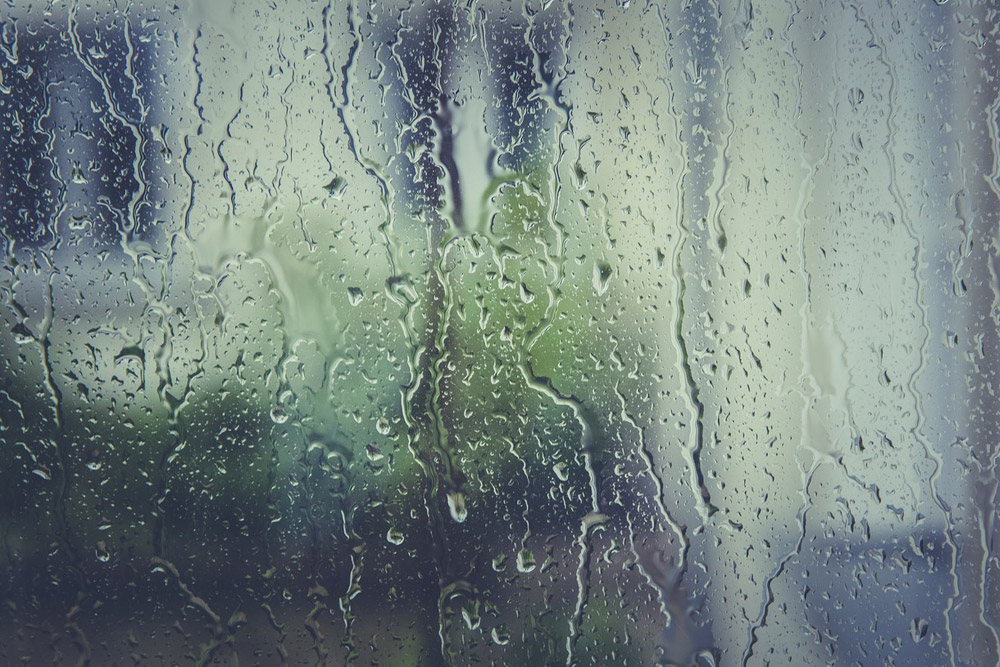Window Condensation Issues and Solutions