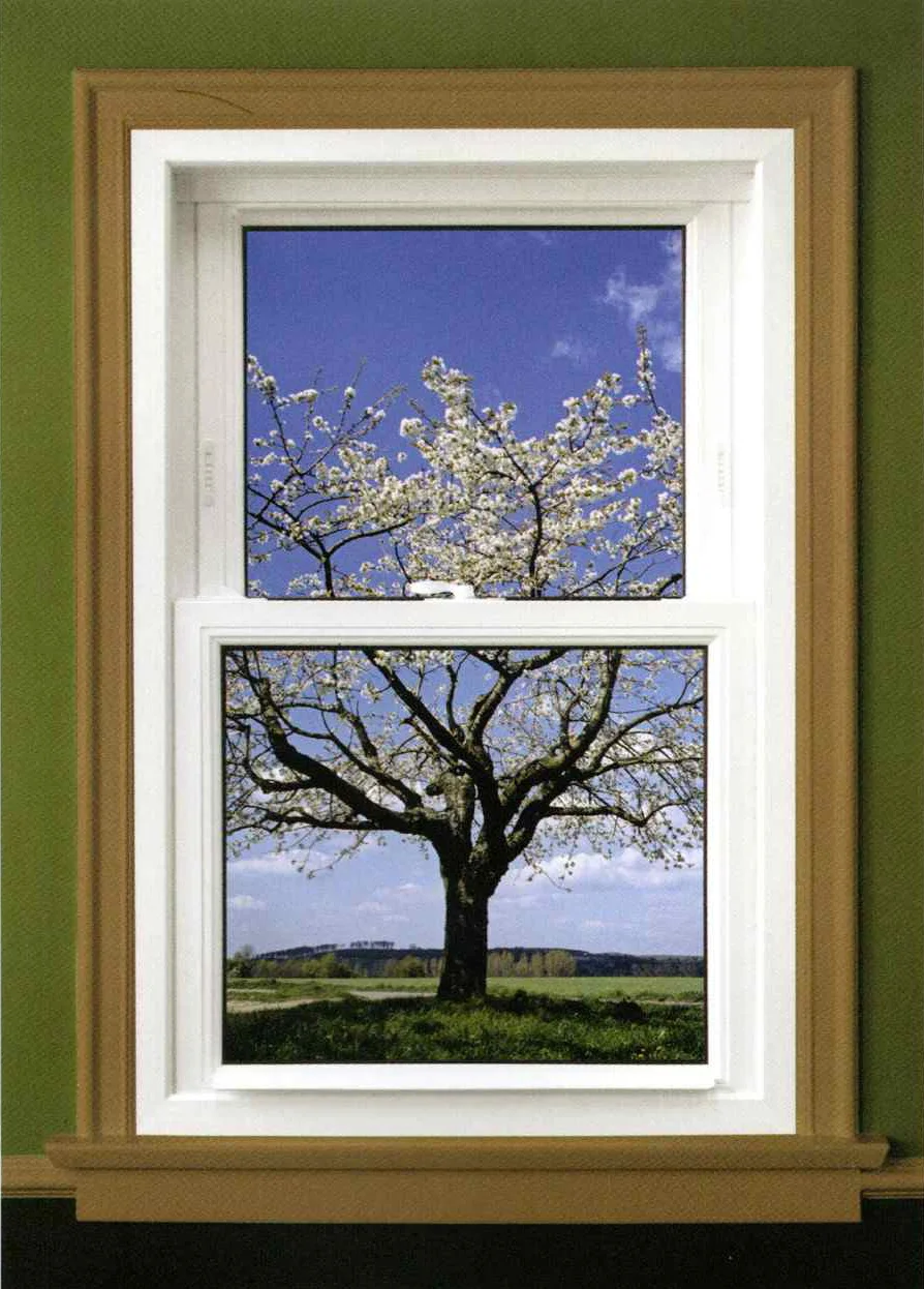 Sunrise Series Double Hung Window 